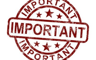 Mid Term Matters