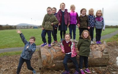 Enjoying our beautiful park in Borrisoleigh
