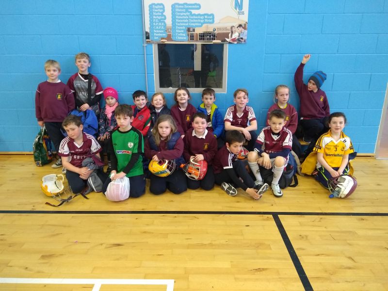 Indoor Hurling