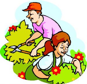 Clean Up