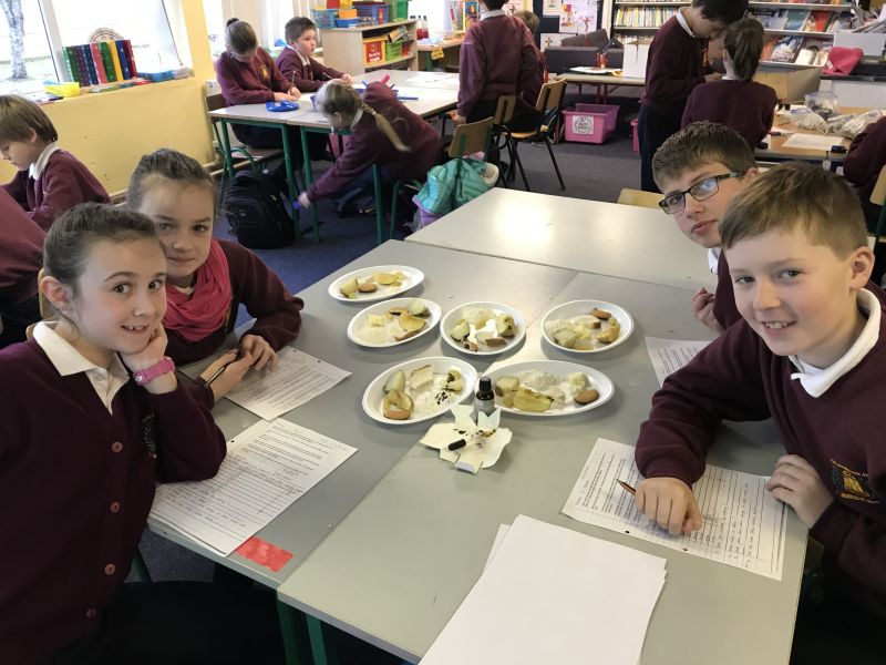 Science Week Fun in Fourth Class