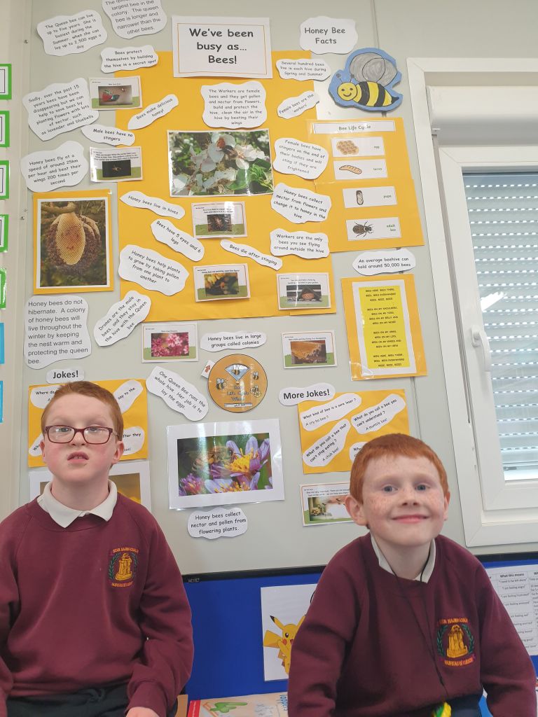 We learned all about bees.