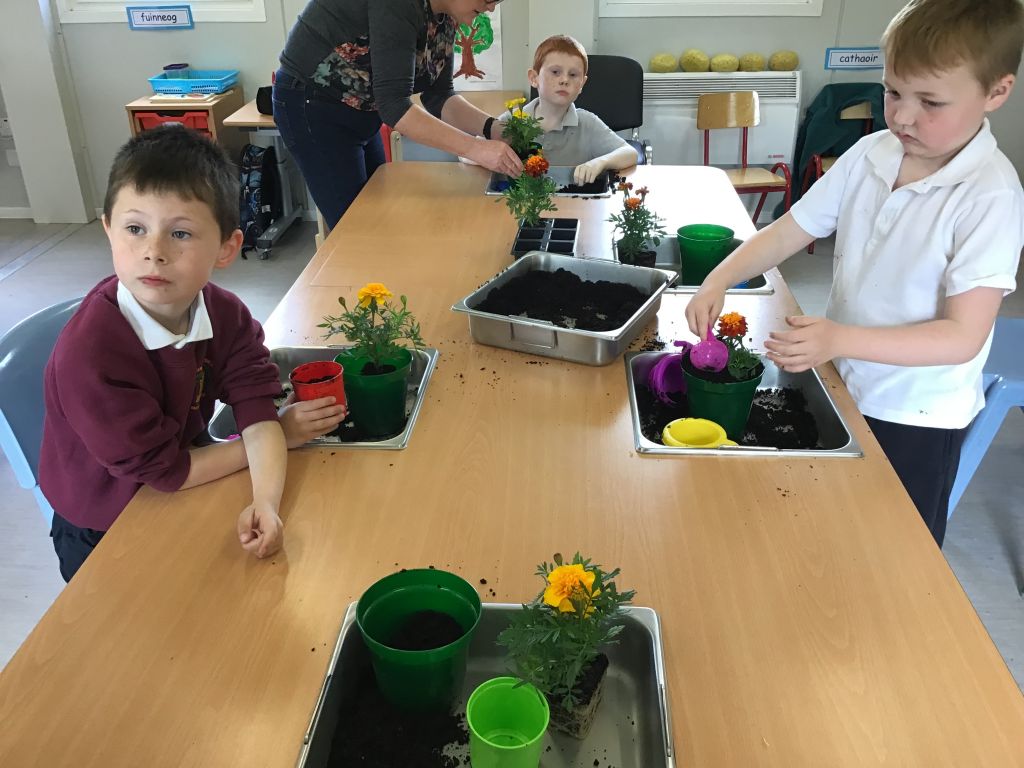 Planting and watering our flowers!
