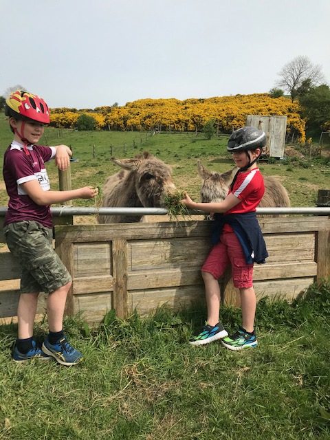 Best buddies and brothers enjoying being outdoors