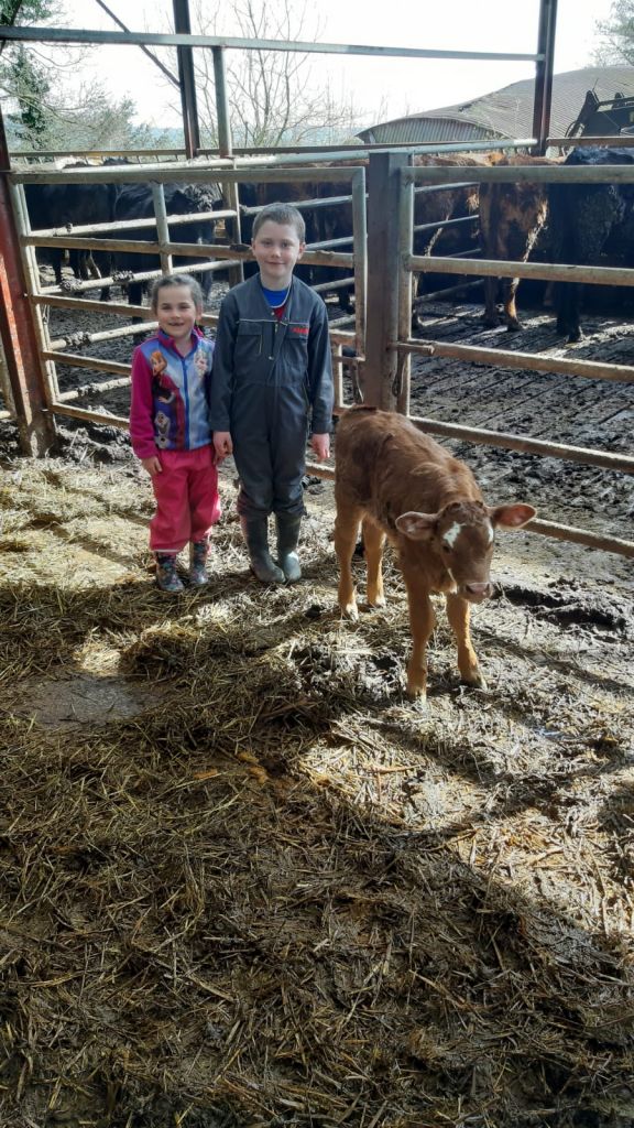 Liam and Katelyn and their new calf Ginger