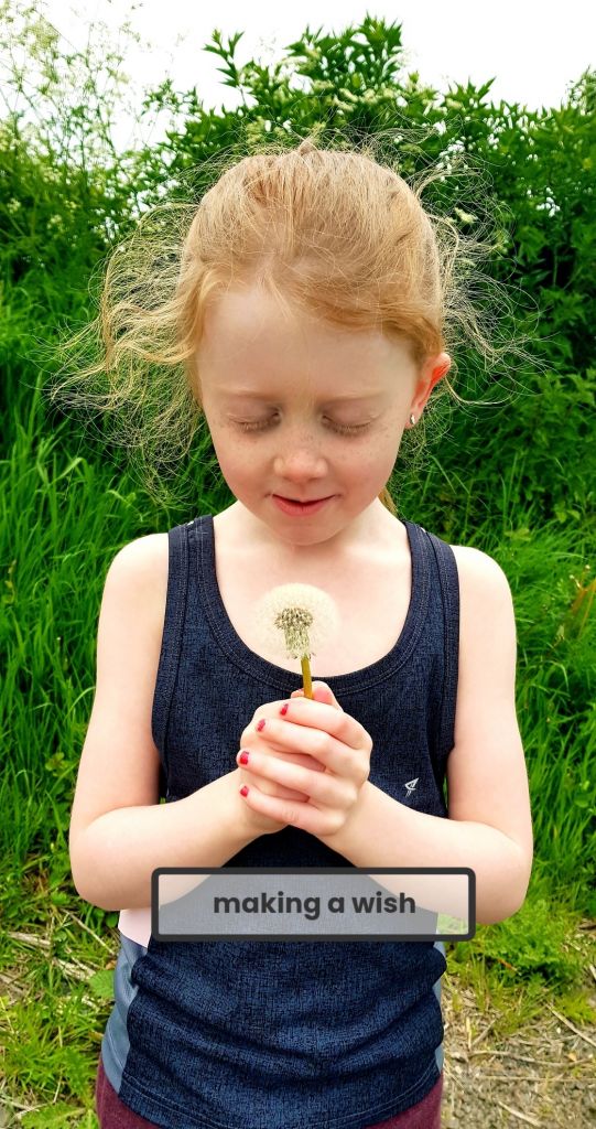 Make a wish…