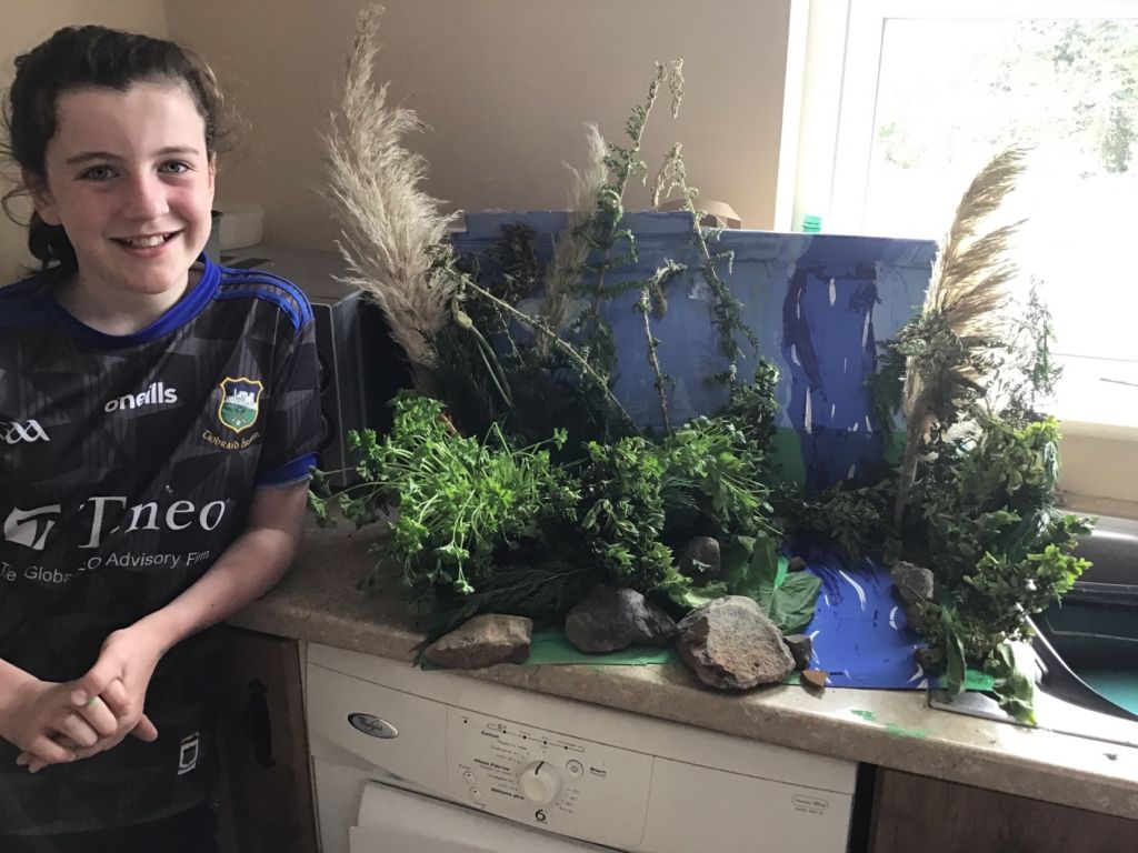 Deep in the rainforest