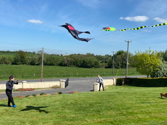 Luke and Alex Flying Kites