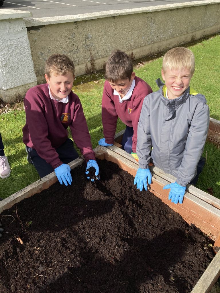 Gardening Galore!