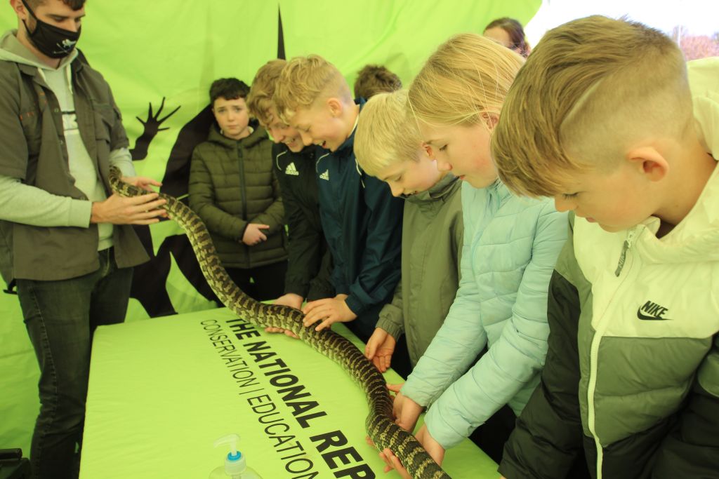 Reptile Zoo