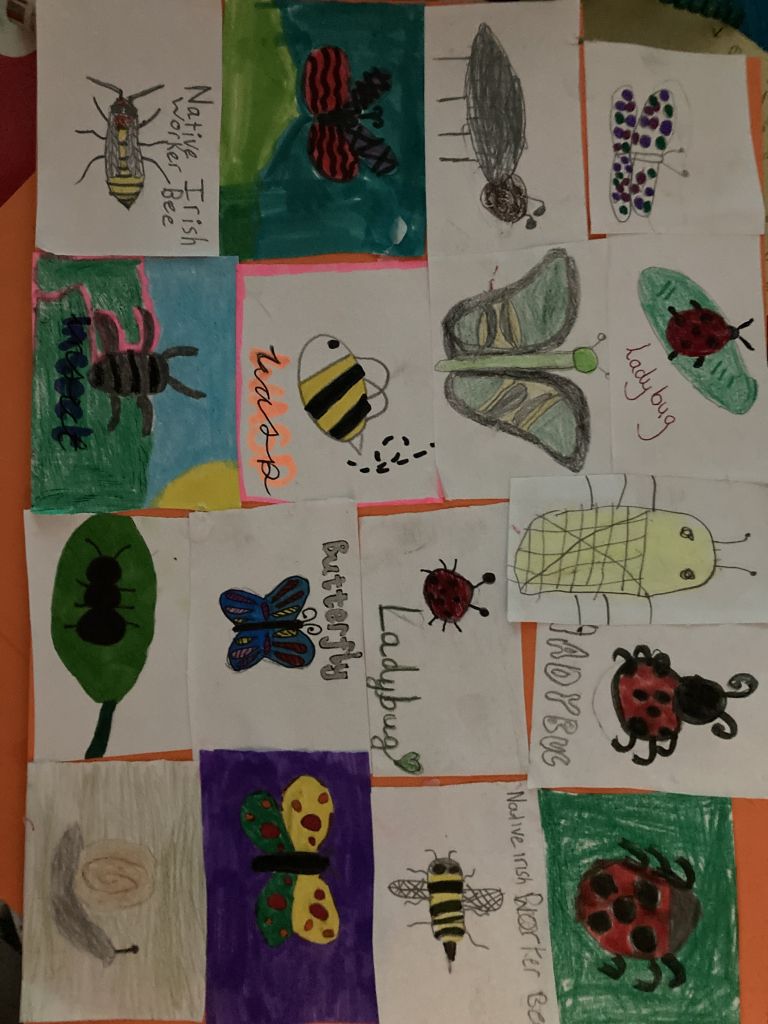 Celebrating Biodiversity Week