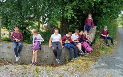 Summer time in Fourth Class