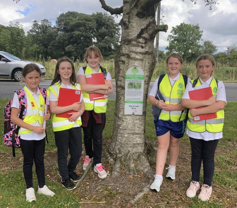 Rathmoy Golden Mile Tree Trail