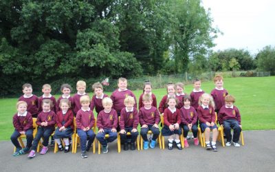 Our new superstars!