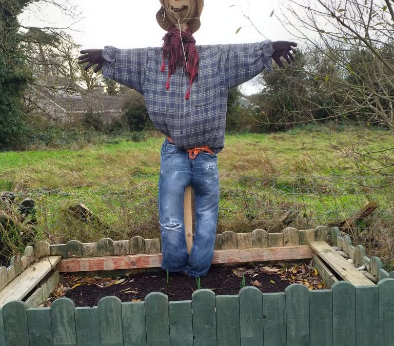 Scarecrow