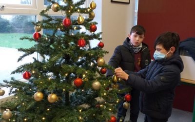 Christmas Preparation