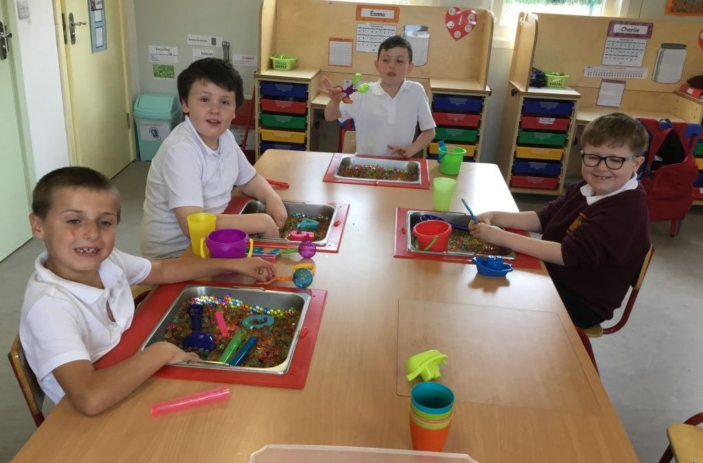 Sensory time in Le Chéile 2
