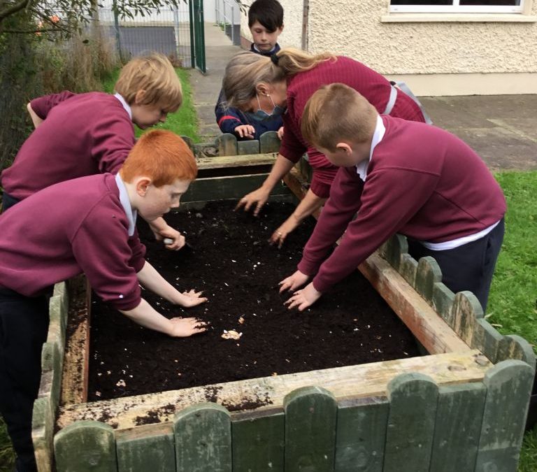 Working together planting lots of Spring flower bulbs.