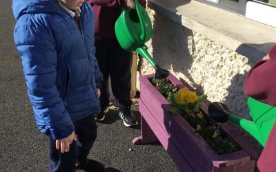 Watering the window boxes