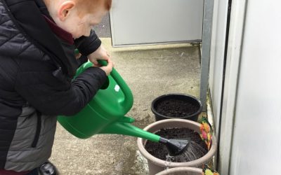 Taking care of our flower pots.