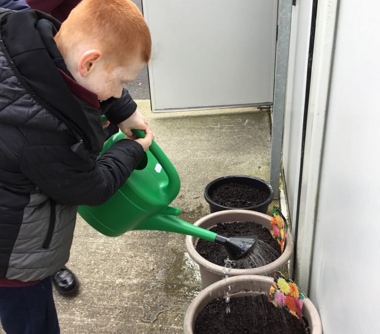 Taking care of our flower pots.