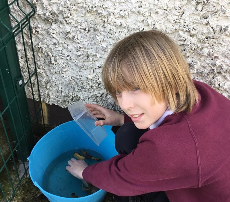 Making an organic liquid to feed our flowers and plants