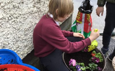Spring flower pots