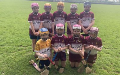 U-11 Camogie