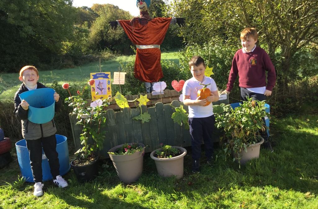 Our Scarecrow – Aladdin