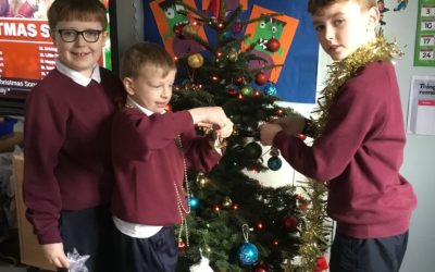 It’s time to put up the Christmas tree!