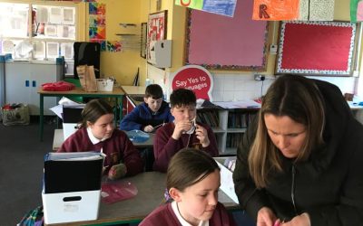 Knitting in 5th Class