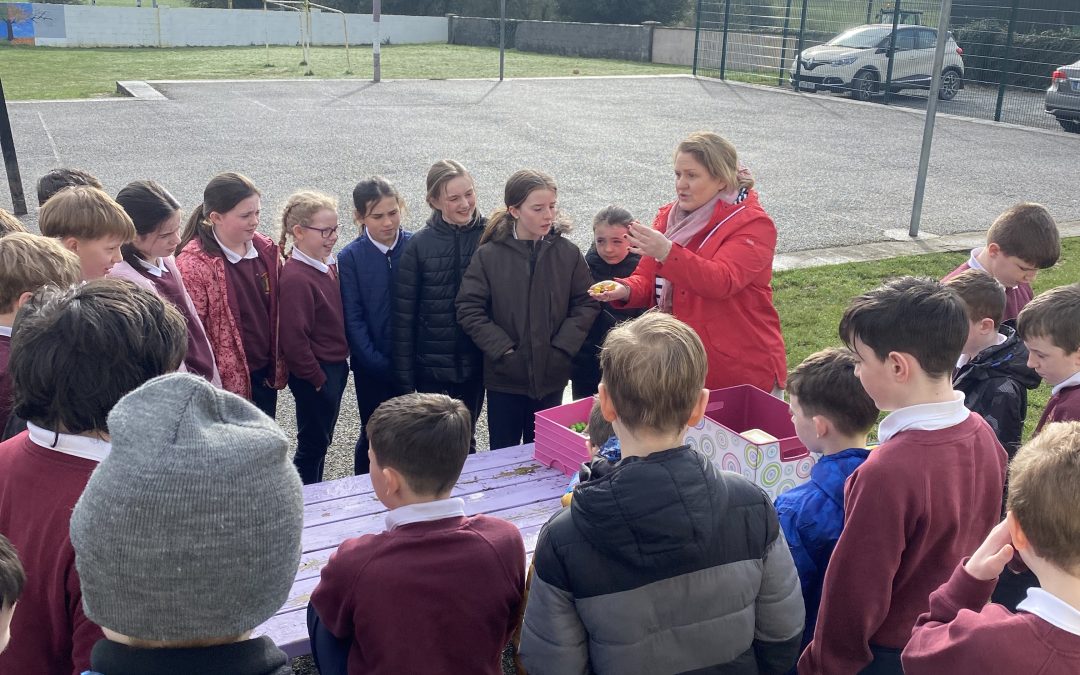 Outdoor learning with Patricia