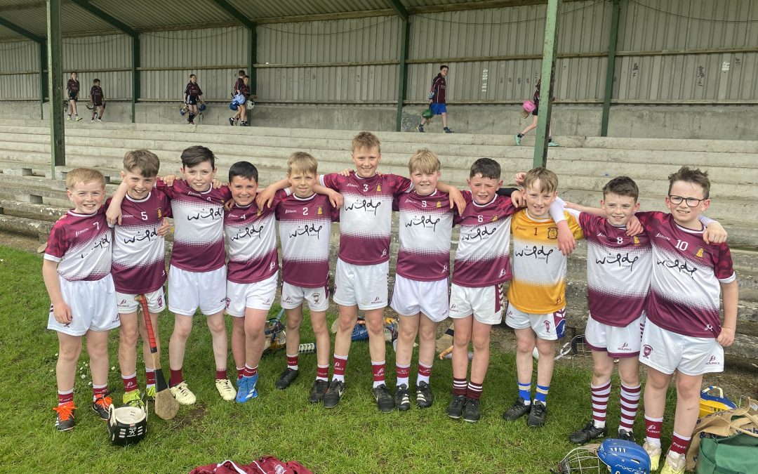 U-11 Hurling Blitz