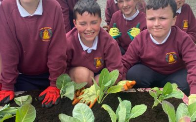 Gardening Galore