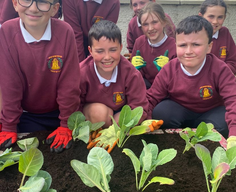 Gardening Galore