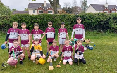U 11 Hurling and Camogie