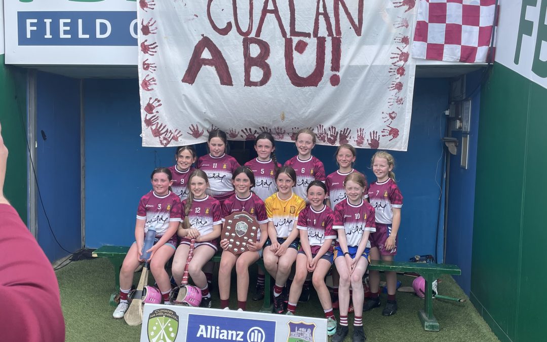 Scoil Naomh Cualán Abú