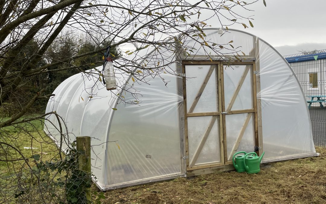 Polytunnel