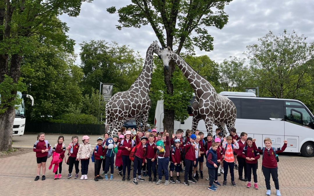1st/ 2nd class School Tour