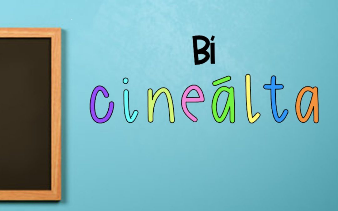 Notice: Annual reviews of our Bí Cineálta and Child safeguarding policies