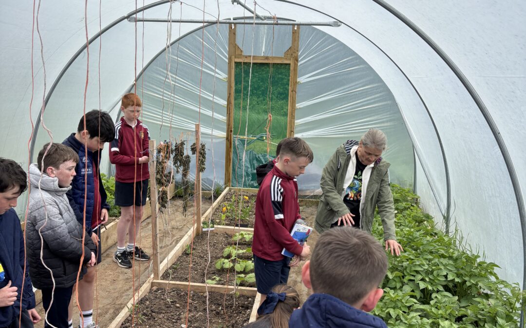 Busy at work in the polytunnel 🪏🪴🫜🫜