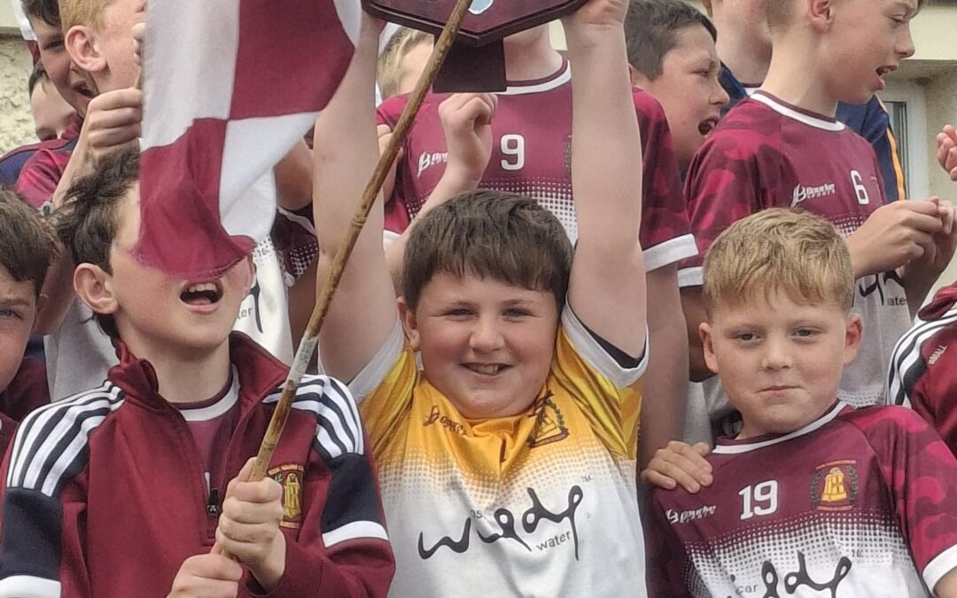 U-11 County Final Champions