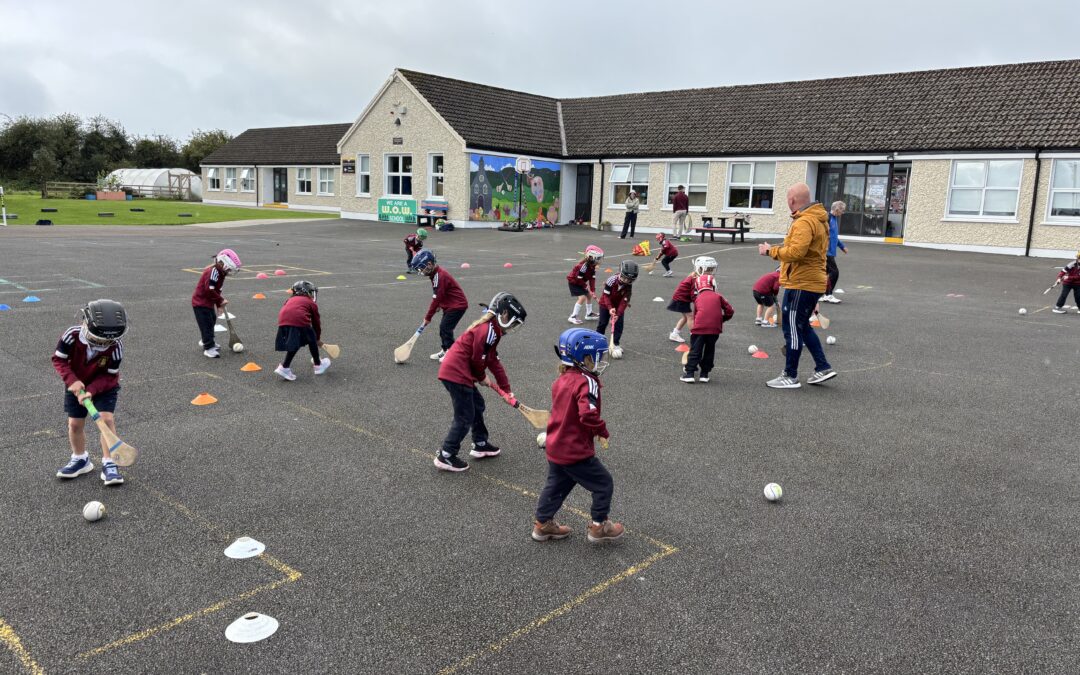 Hurling/ Camogie Training