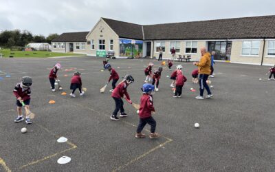 Hurling/ Camogie Training