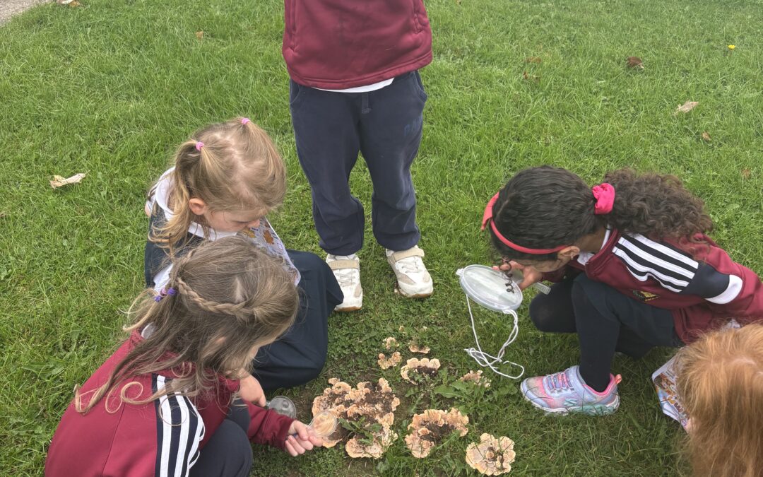 Autumn Scavenger Hunt