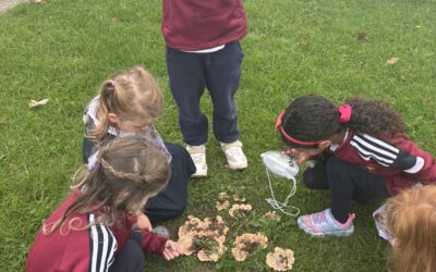 Autumn Scavenger Hunt