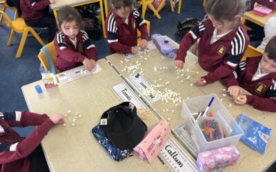 STEM Challenge